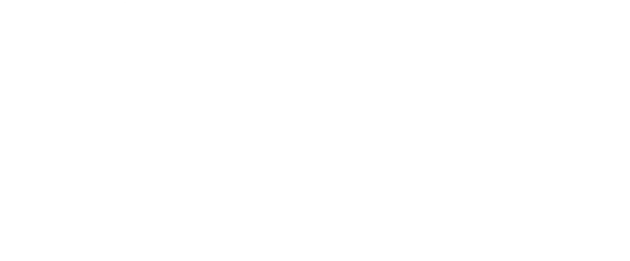 BC Powersports Dealers Association - Logo White